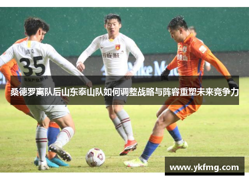 桑德罗离队后山东泰山队如何调整战略与阵容重塑未来竞争力