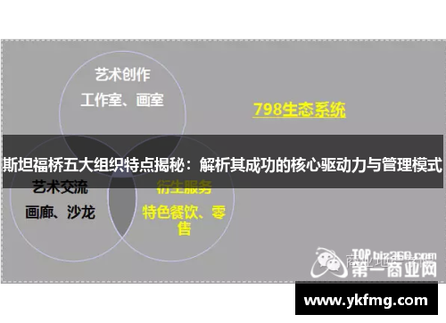 斯坦福桥五大组织特点揭秘：解析其成功的核心驱动力与管理模式